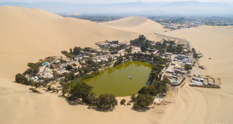 Paracas y Huacachina Full Day