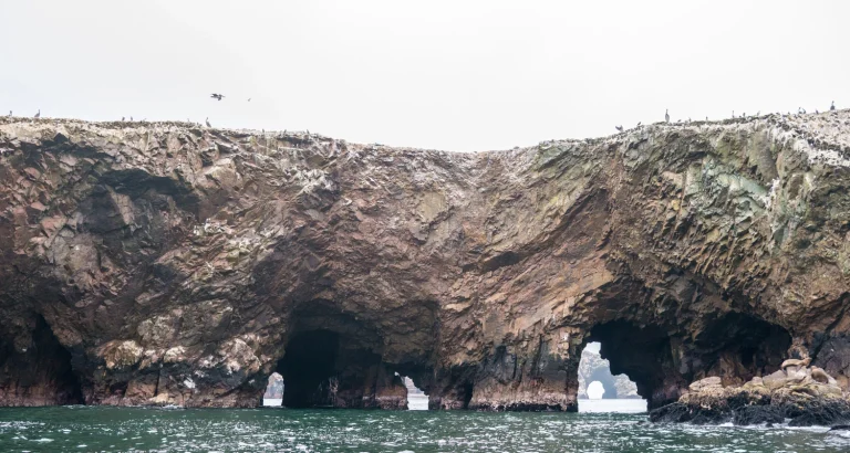 Paracas y Huacachina Full Day